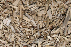 biomass boilers Penybryn